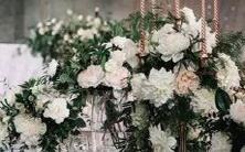 探究阴性星座的人为何拥有最务实的特质