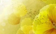 精选收集:值得借鉴的优美商标名称大全