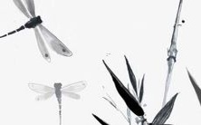 独特而美妙的樊姓好听名字推荐,为你的宝宝取一个与众不同且魅力十足的名字!