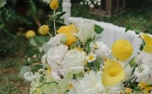 还有哪个星座敢在众人面前卸妆?看看谁敢挑战“素颜大考验”!