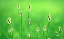 做梦踩到许多蚂蚁并被蚂蚁咬了,这意味着什么?