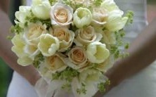 富有感性的星座:即便看肥皂剧也能激起激情和眼泪