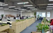 在梦中享受着红色果实的香甜,拥有丰富的石榴成堆,或许代表着一种繁荣与丰盈的暗示