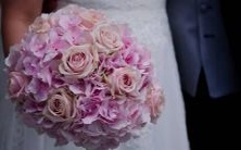 哪些星座以其演技和个性吸引了粉丝,而非仅依靠颜值?