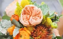 惊人表现!这些星座男子只需微微夸奖,便能使自己的尾巴翘得高高在上!