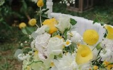 白羊座女生的性格特点——开放程度和勇敢无畏的性格表现