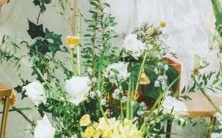 具有低表现欲的星座男士有哪些特征?