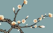 预测:82年出生的女性在2022年将会有怎样的运势和感情状况?