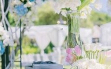 如何理解星座的上升和落入双鱼座的完美解释