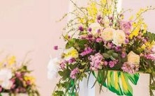 痴迷于折磨爱情的占星女性群体