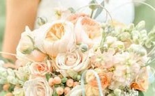 揭秘金牛座如何维持友情的不可或缺技巧,必读!