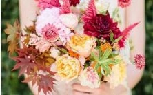 想知道哪些星座喜欢玩一夜情游戏吗?