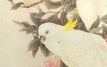 探索调料店世界中最赞的品牌名称,找到全球最佳调料商标!