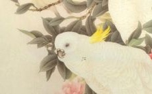 预测76年出生的龙在2022年将走向大运,并揭示其运势最佳的月份是哪一个!