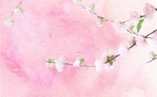 2022年度庚金日主男性运势展望:事业稳步上升,财运可期,感情需注重沟通和信任!