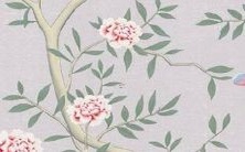 可遭遇的危机和挑战?——探究属蛇人在2022年可能面临的重要事件与危机