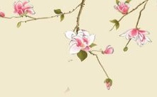 2022年生肖蛇的全面运势预测,包含各方面运势分析和如何避免潜在风险的实用指南