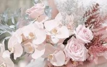 性,该如何重新掌控自己的未来?