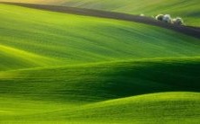 究竟属鼠女最佳的婚配对象是哪个属相呢?或许属鼠女与属龙男的恋爱和婚姻能否持久也值得我们好好思考