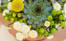 十二星座在吵完一场激烈的争论后,会采取何种行动来缓解矛盾?