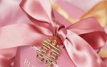 在星相学中,哪个星座宫位被认为最为重要?