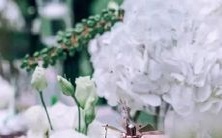 天蝎座如何行动,以建立信任并化解信任危机?