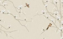 兔年太岁会犯哪些生肖属相?