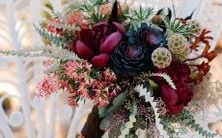 解读:揭秘金星星座与日魔神秘组合的秘密配对规律