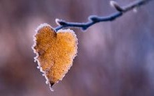 梦见车子失事被撞坏了,揭示的心理寓意及心理学建议是什么?