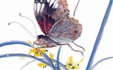 2022年属蛇人应避开的方位——详解属蛇人在2022年的风水忌讳