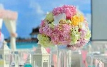 探秘天蝎座命主星的神秘力量与主宰影响:揭秘命运走向与个性特质的奥秘