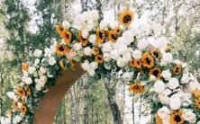 在关键时刻,这些星座总能逆转失败,创造胜利