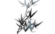 2022年,即将进入黑蛇岁次的49年生肖蛇的运势如何?