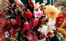 的海上冒险之旅:追寻大秘宝、收集伙伴、打败敌人的壮大历程