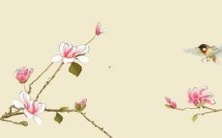 探寻39岁属鼠在2022年的全年综合运势预测及评估