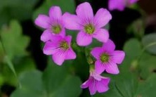 睡梦中的惊魂体验:梦见自己身处火海,不得已跳楼逃生!