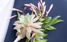 哪些星座能够在第一次考试中一次性通过驾照考试?