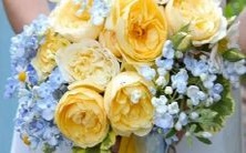 样子,火象星座喜欢哪种外形和形象?