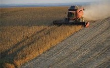 舞,预示着什么?有没有象征意义?解梦专家详解梦境中蛤蟆的涵义