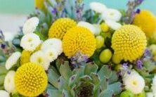 现实背后的真相:这些星座表面没心没肺,其实内心十分复杂