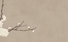 2022年属鸡、蛇、人的幸运走势:全面剖析虎年吉凶大势!