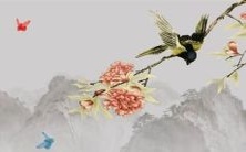 根据星座学,排名最为无情的星座特征和性格的全面评估