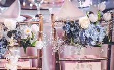 探寻Astrology新星座:第13个星座揭晓