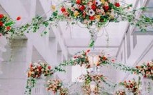 揭秘男性心中最宠爱的星座-哪个星座最受男人喜爱?