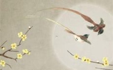 ,温柔的12星座——如何了解你的星座特质,发掘内在温柔力量?