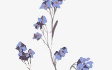 探索三个打动心灵的口感诱人的糕点名称