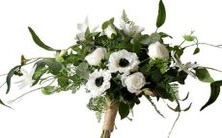 与被动型个性特征对比:揭秘十二星座中主动型人群的表现与特质