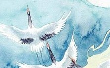 2022年以后起名字不必再费心,免费取得完美的命名方案!