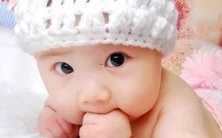 从2022年开始,最常出现在命名中的两个字是什么?