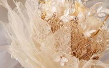 星座喜爱的百合花种类、品种及用途详解:多维度解析星座对百合花的热爱原因